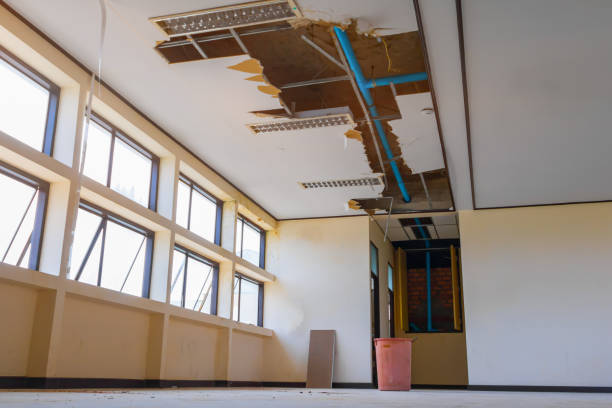 Best Flood damage cleanup  in Desert Hills, AZ