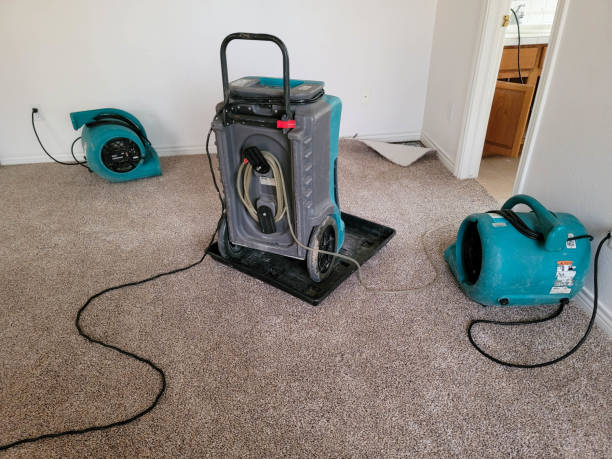Best Water damage mitigation services  in Desert Hills, AZ
