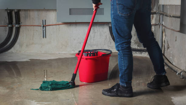 Best 24/7 water damage repair  in Desert Hills, AZ