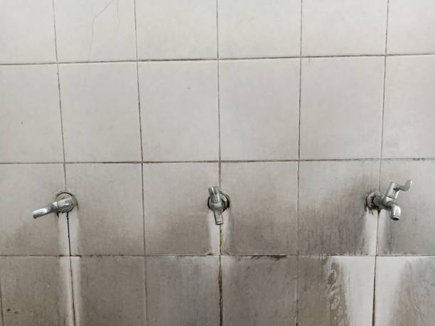 Best Flood restoration services  in Desert Hills, AZ