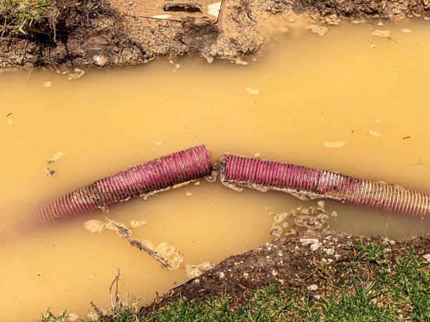 Best Flooded house restoration  in Desert Hills, AZ